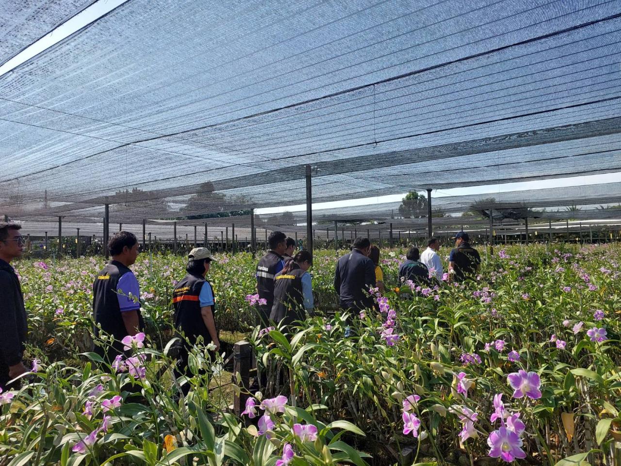 ภาพประกอบที่ 10