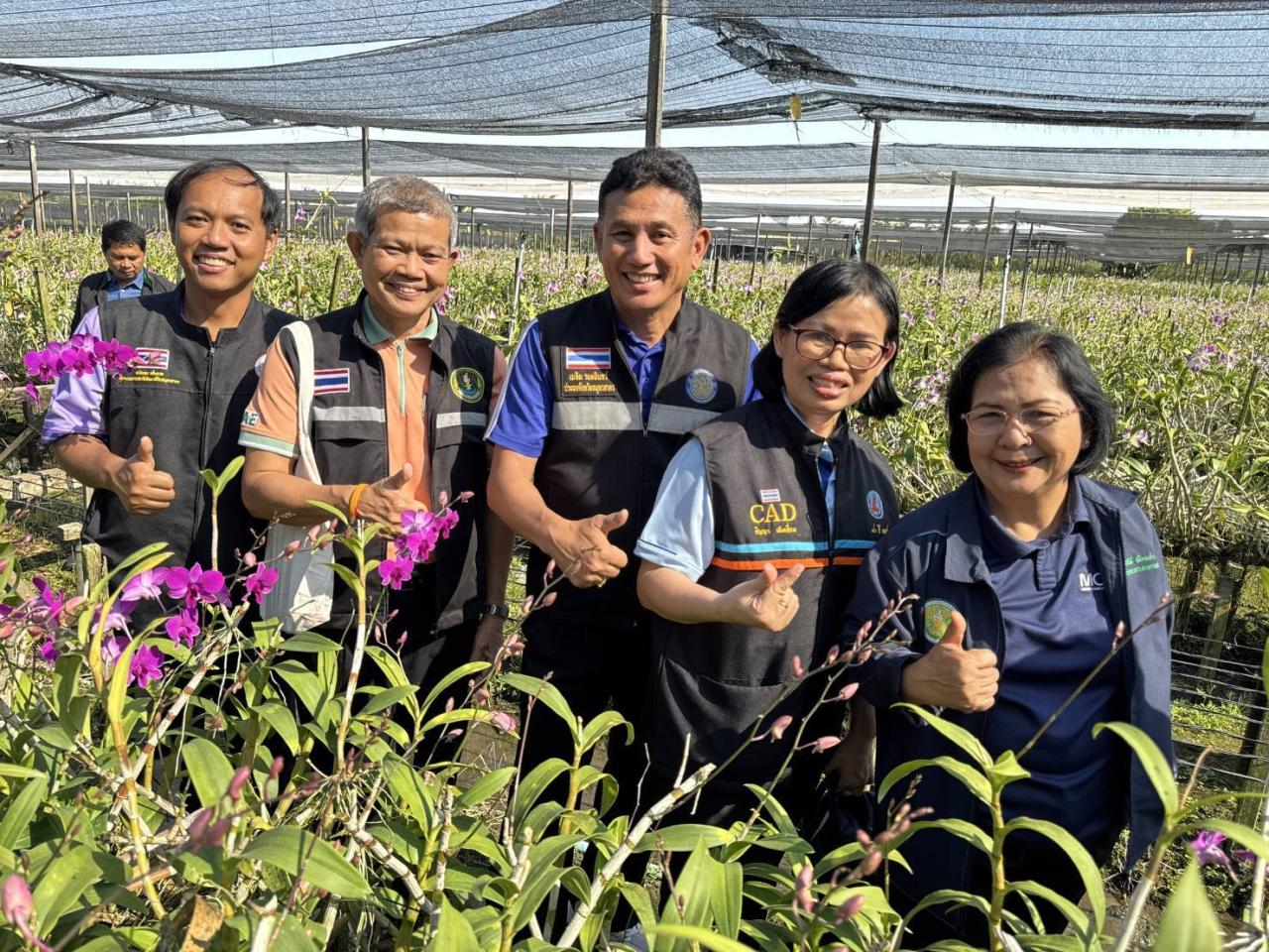 ภาพประกอบที่ 8