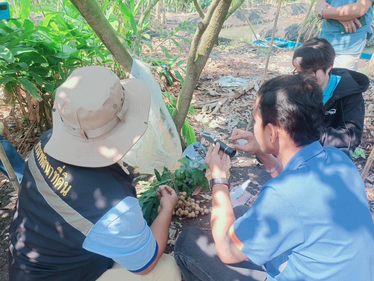 ภาพประกอบที่ 3