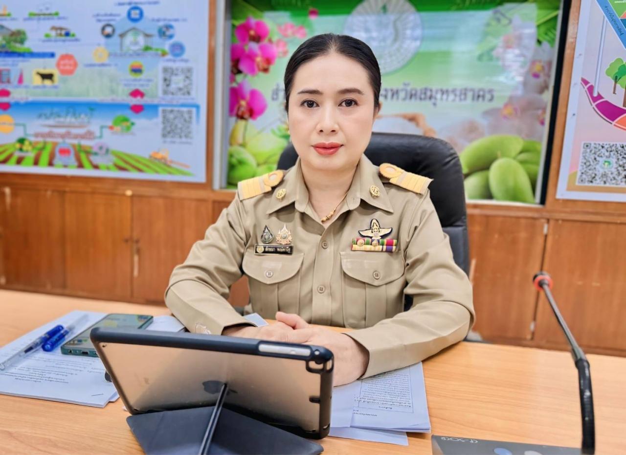 ภาพประกอบที่ 0