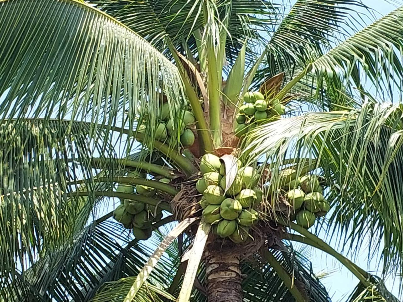 ภาพประกอบที่ 9