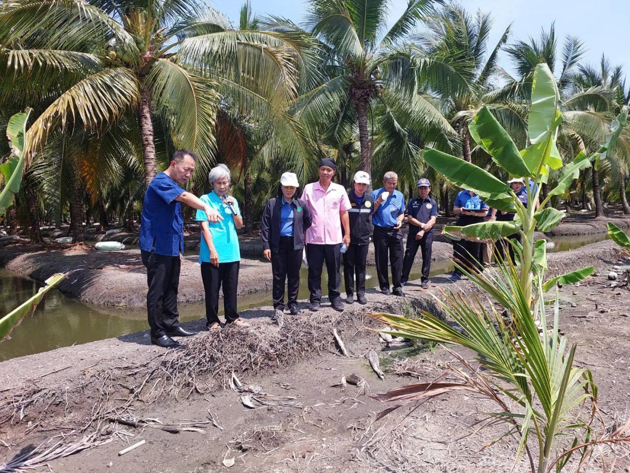 ภาพประกอบที่ 8