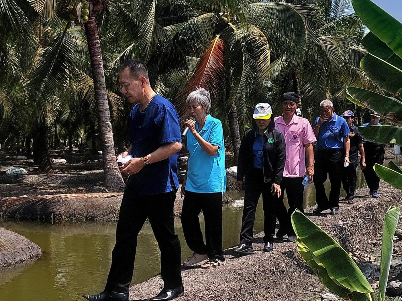 ภาพประกอบที่ 6