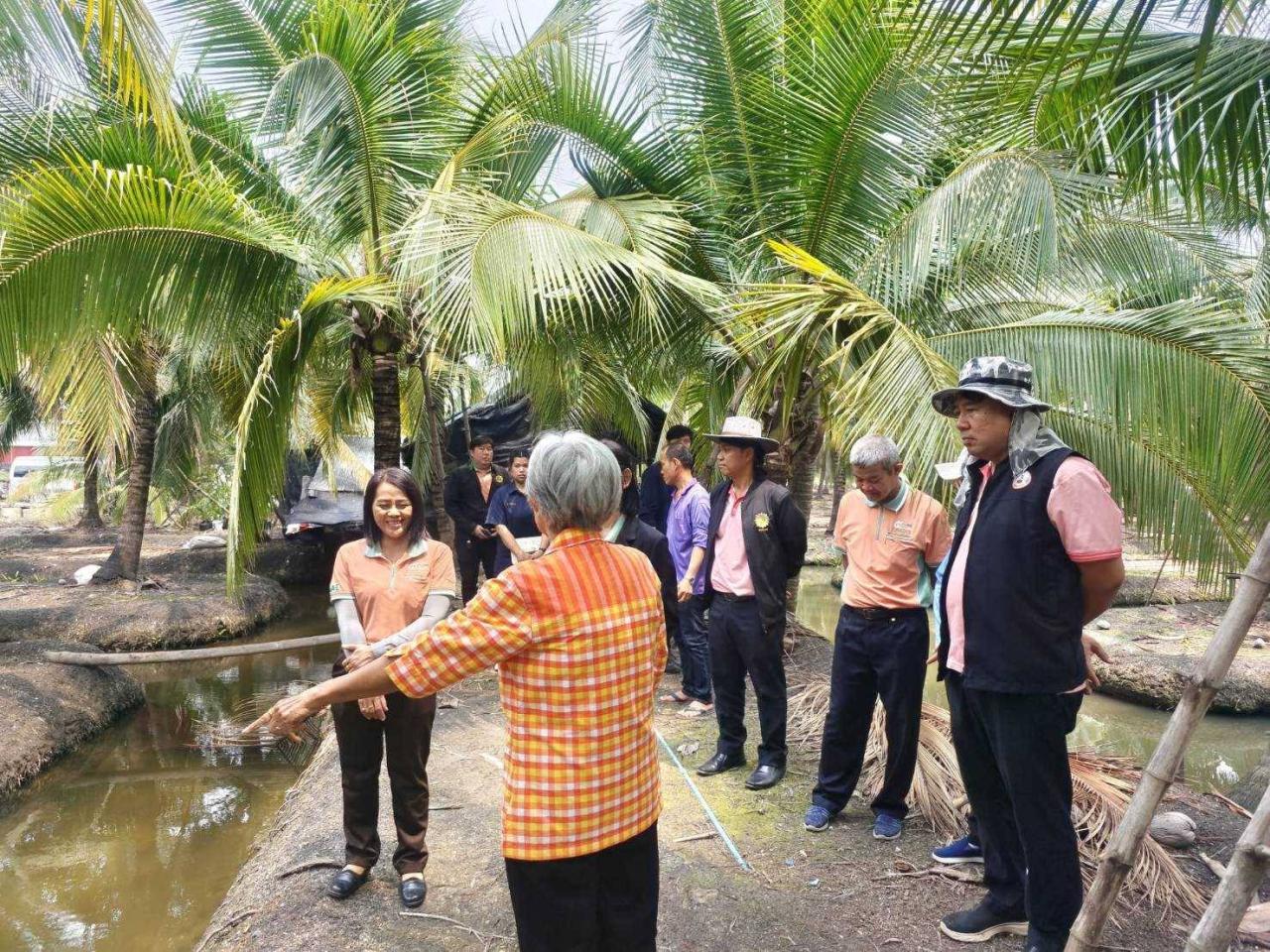 ภาพประกอบที่ 5