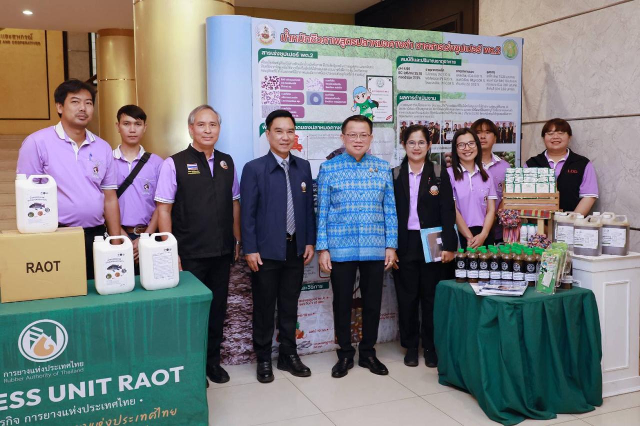 ภาพประกอบที่ 8