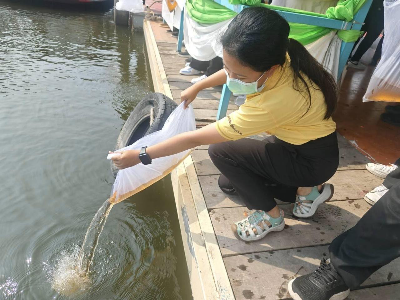 ภาพประกอบที่ 3