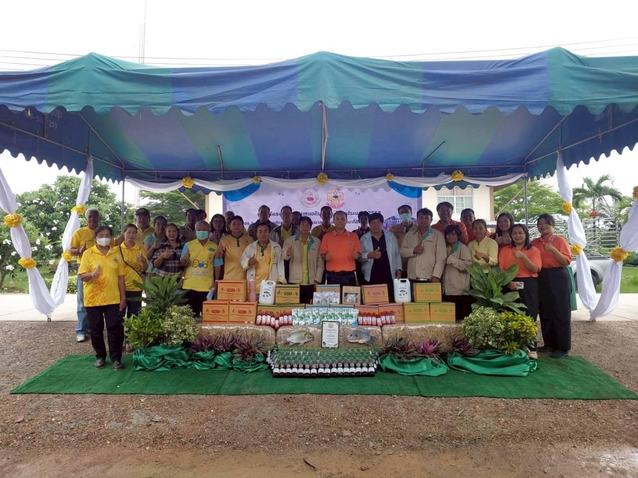 ภาพประกอบที่ 6