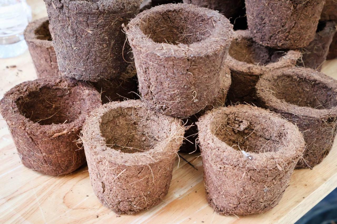 ภาพประกอบที่ 6