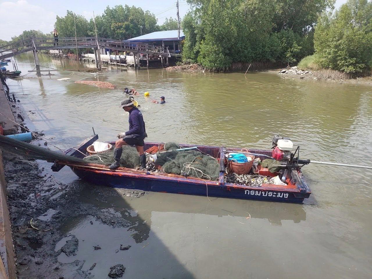 ภาพประกอบที่ 0