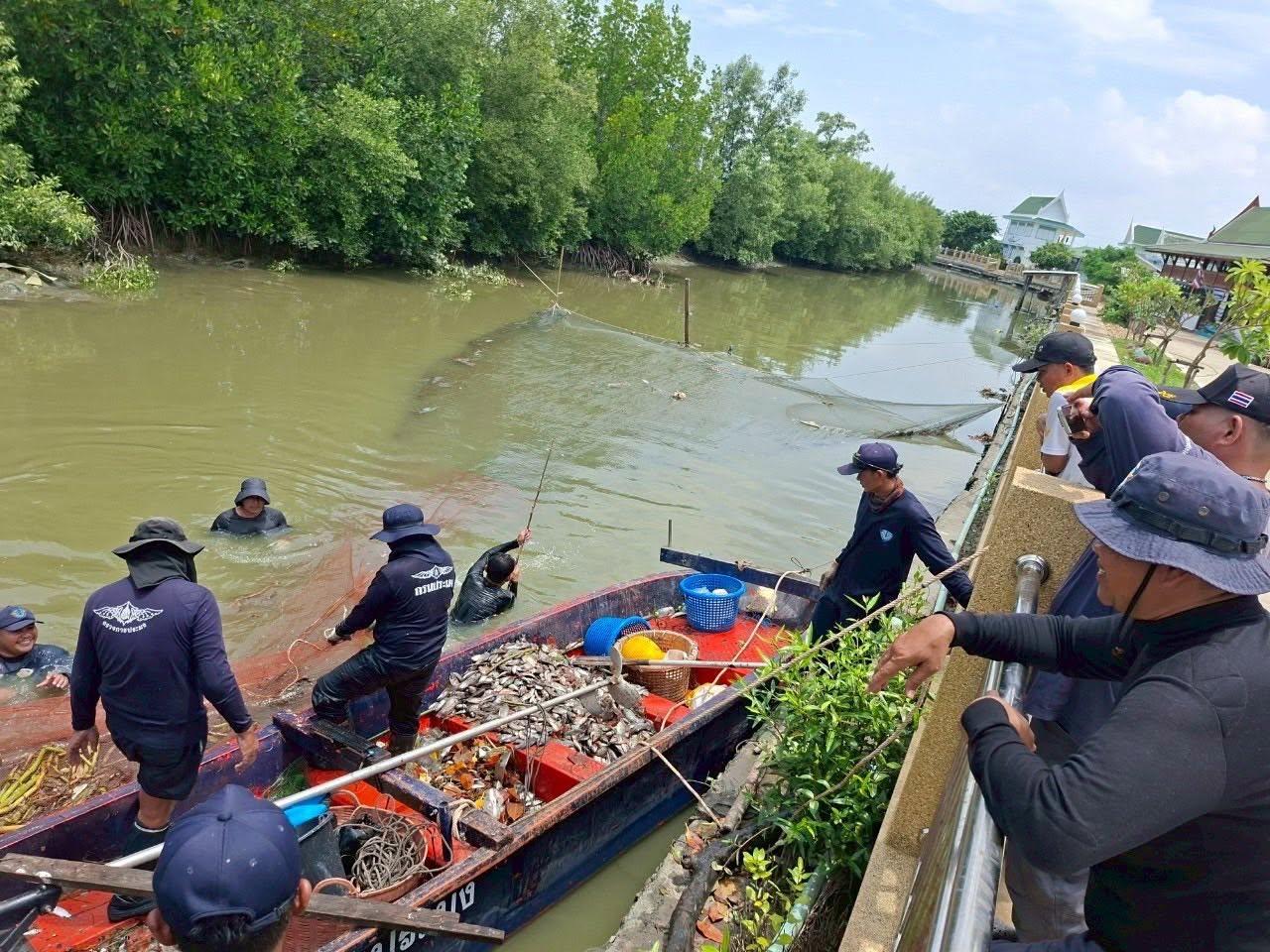ภาพประกอบที่ 1