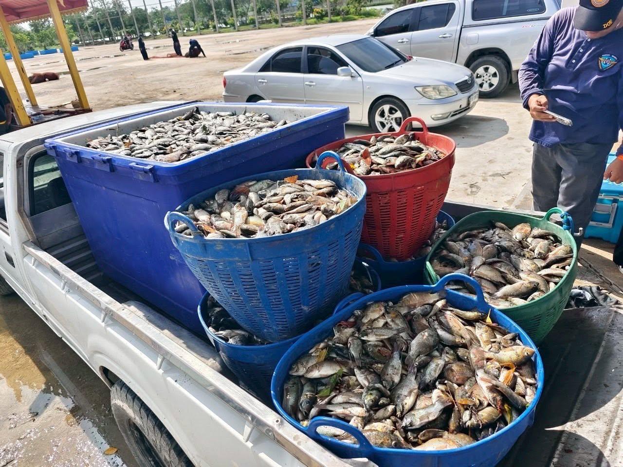 ภาพประกอบที่ 7