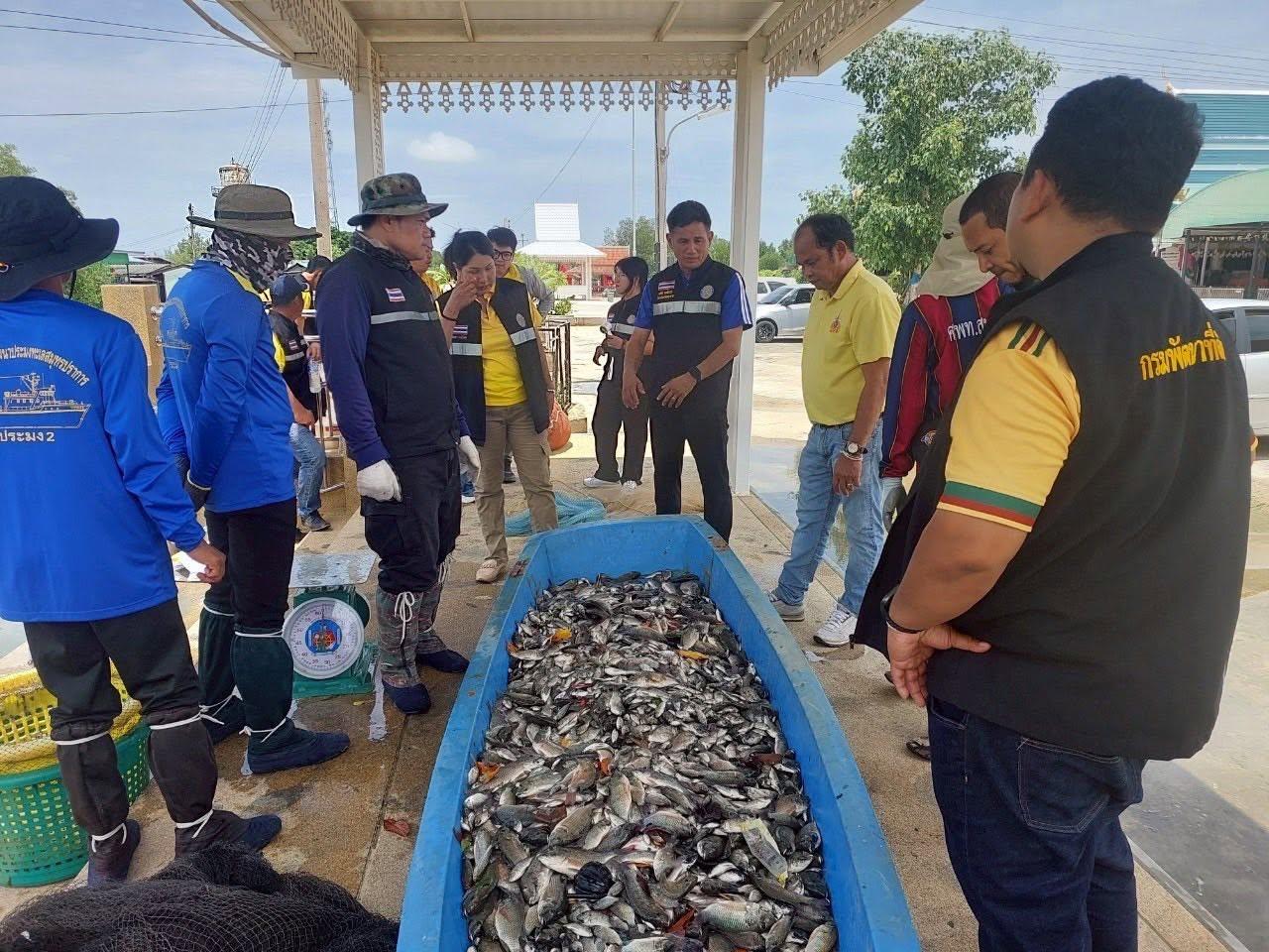 ภาพประกอบที่ 8