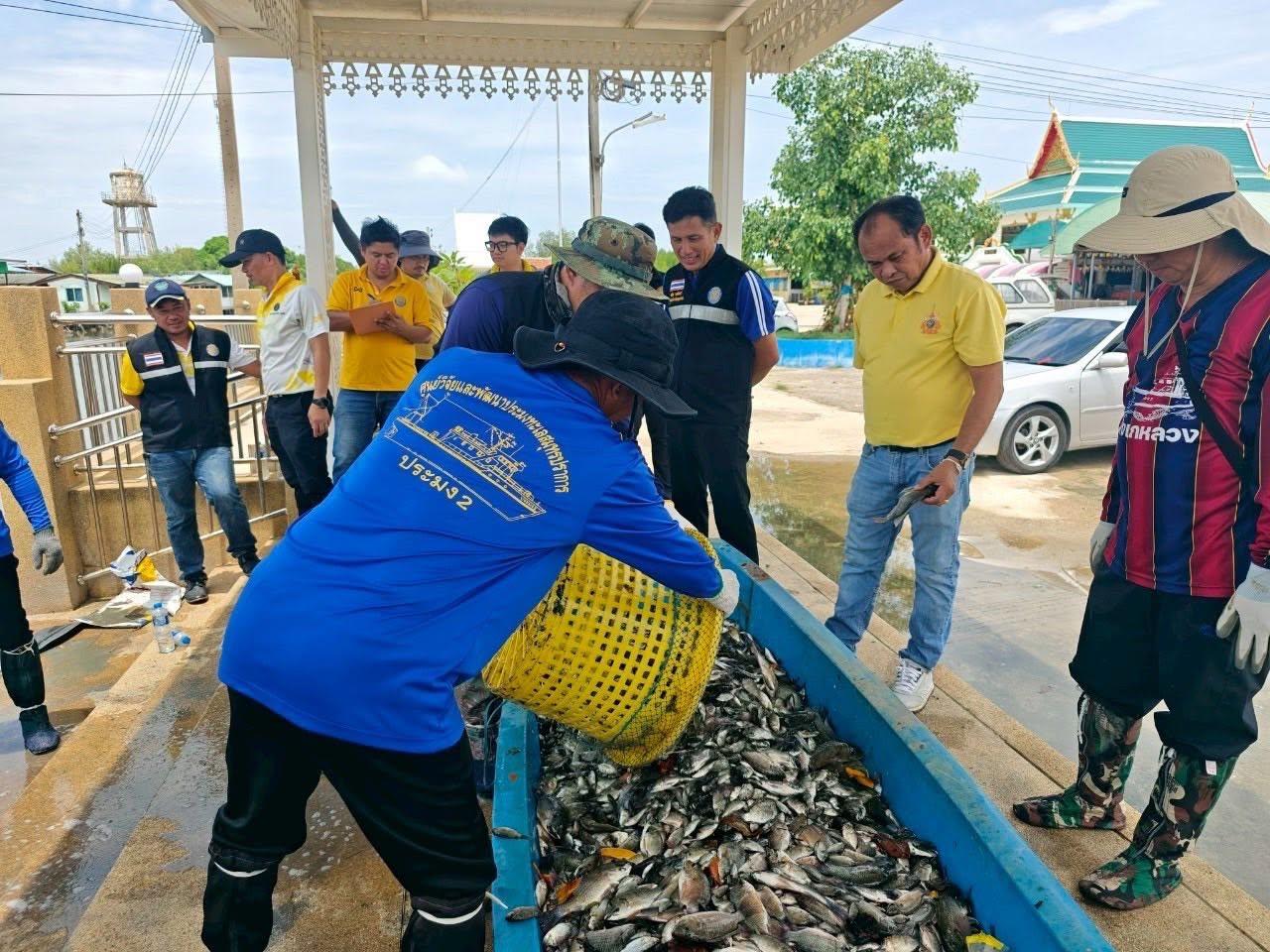 ภาพประกอบที่ 9