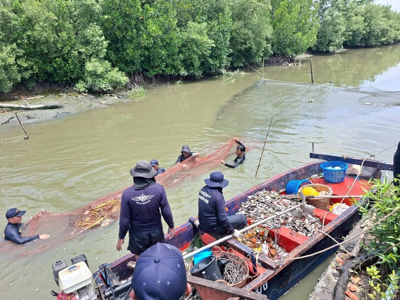 ภาพประกอบที่ 2