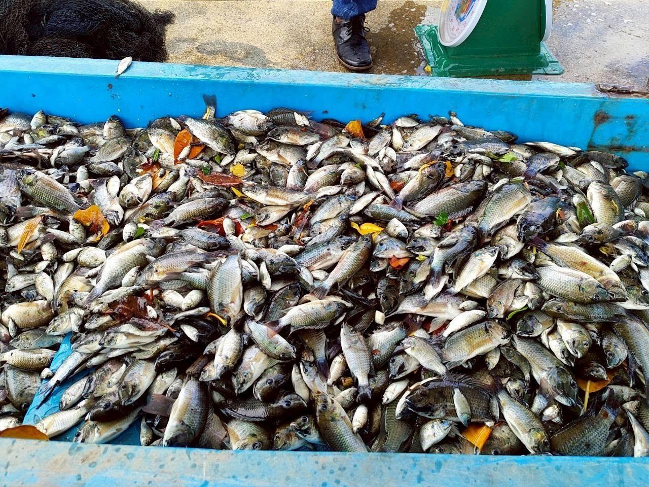 ภาพประกอบที่ 5