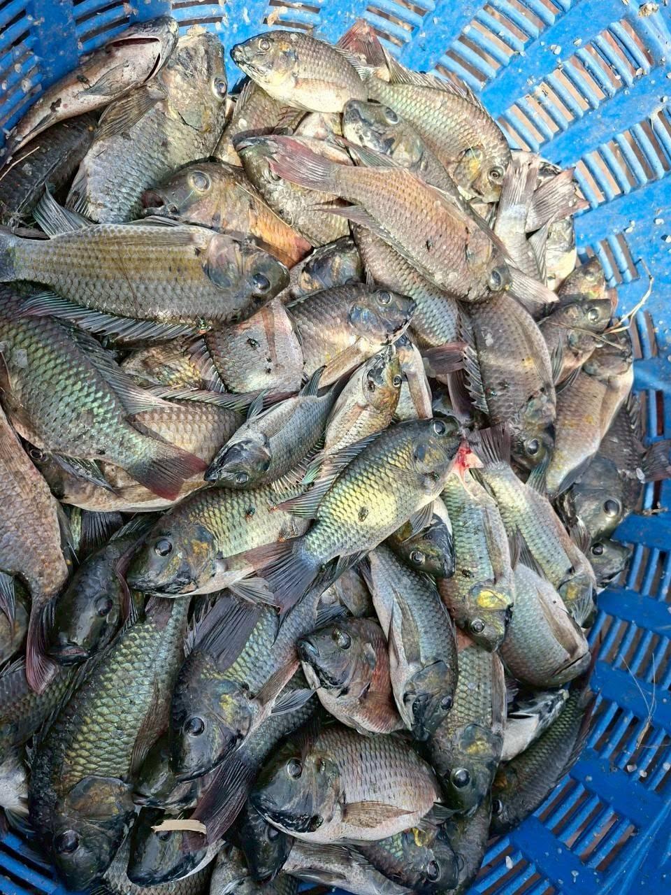 ภาพประกอบที่ 6