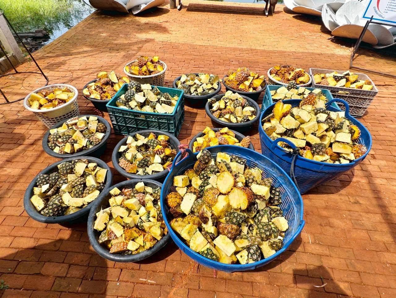 ภาพประกอบที่ 7