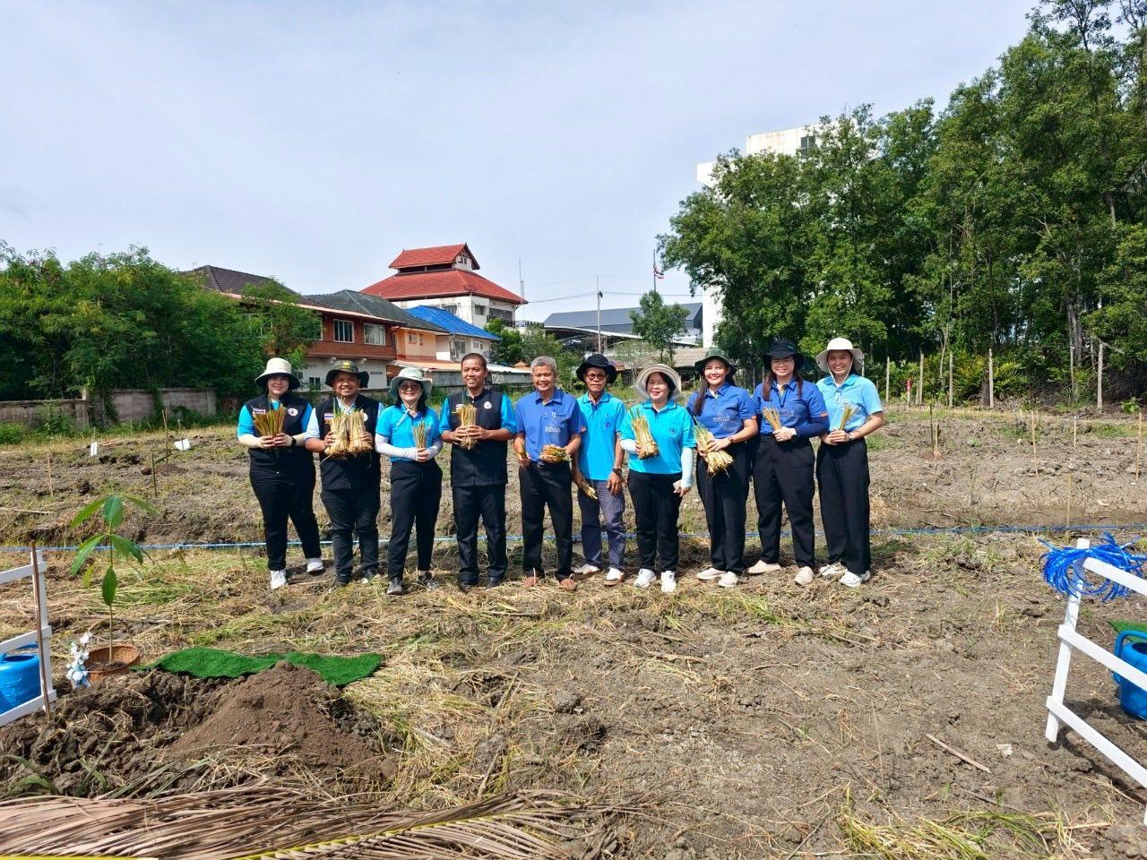 ภาพประกอบที่ 3