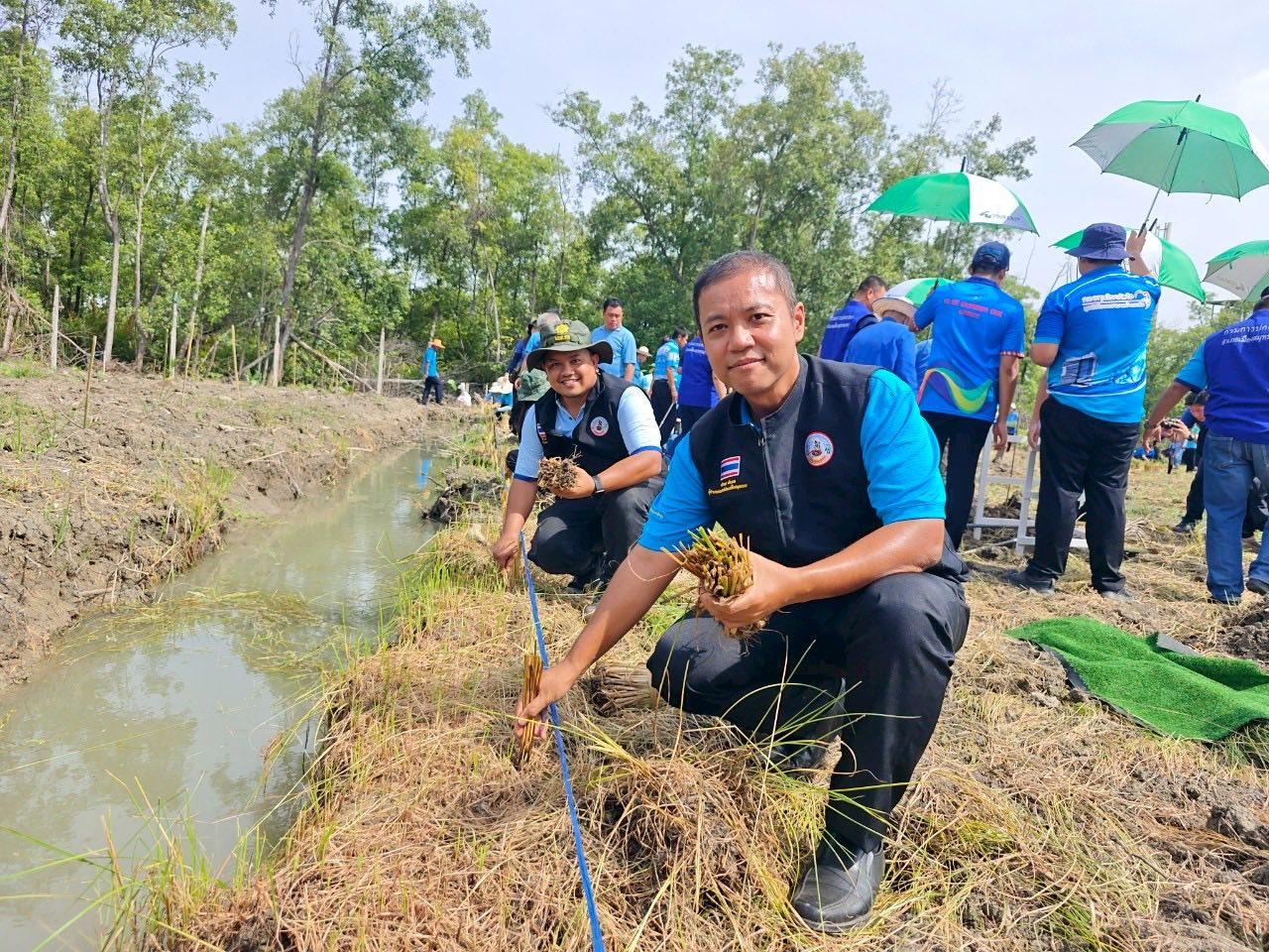 ภาพประกอบที่ 0