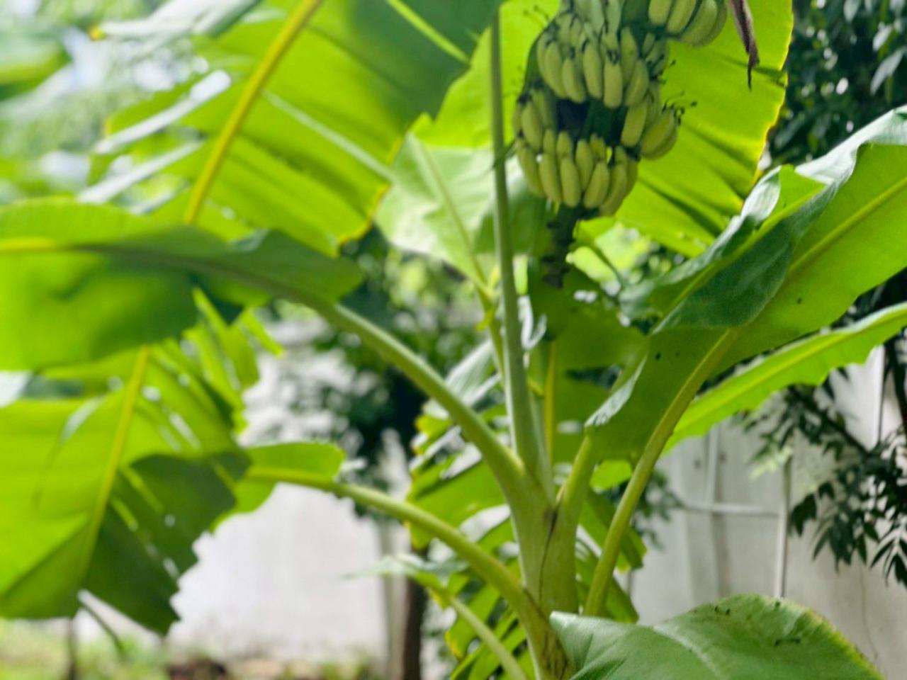 ภาพประกอบที่ 7