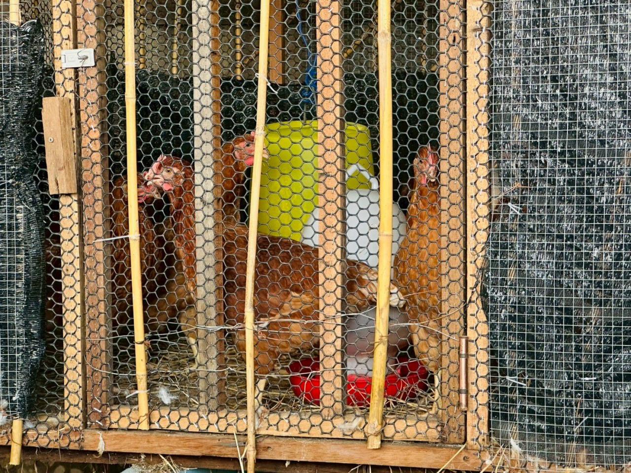 ภาพประกอบที่ 9