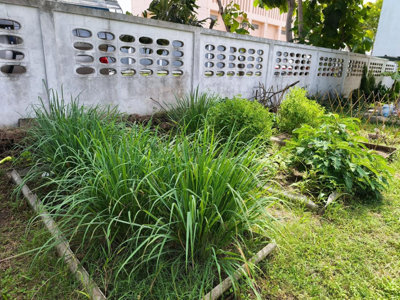 ภาพประกอบที่ 10