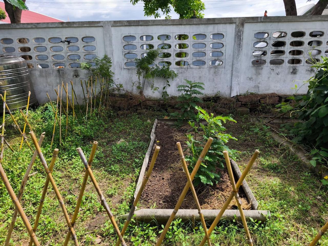 ภาพประกอบที่ 11