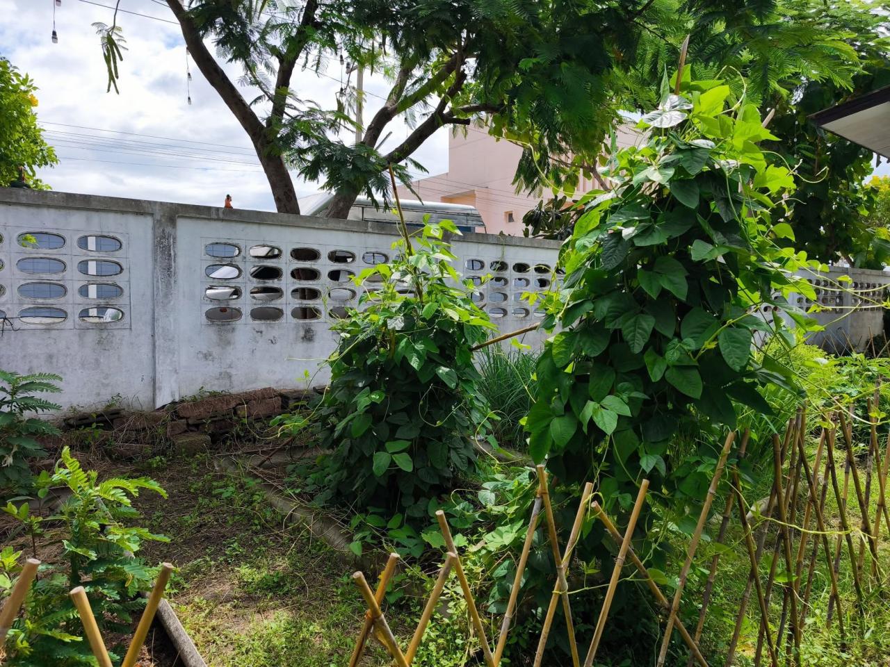 ภาพประกอบที่ 12