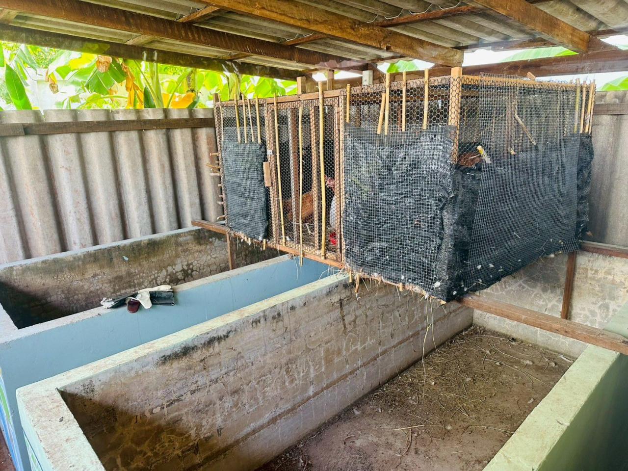 ภาพประกอบที่ 14