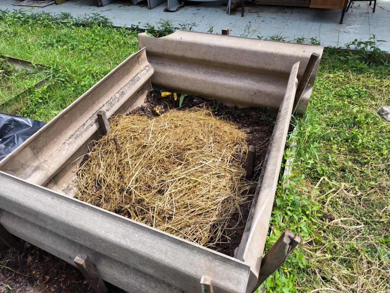 ภาพประกอบที่ 15