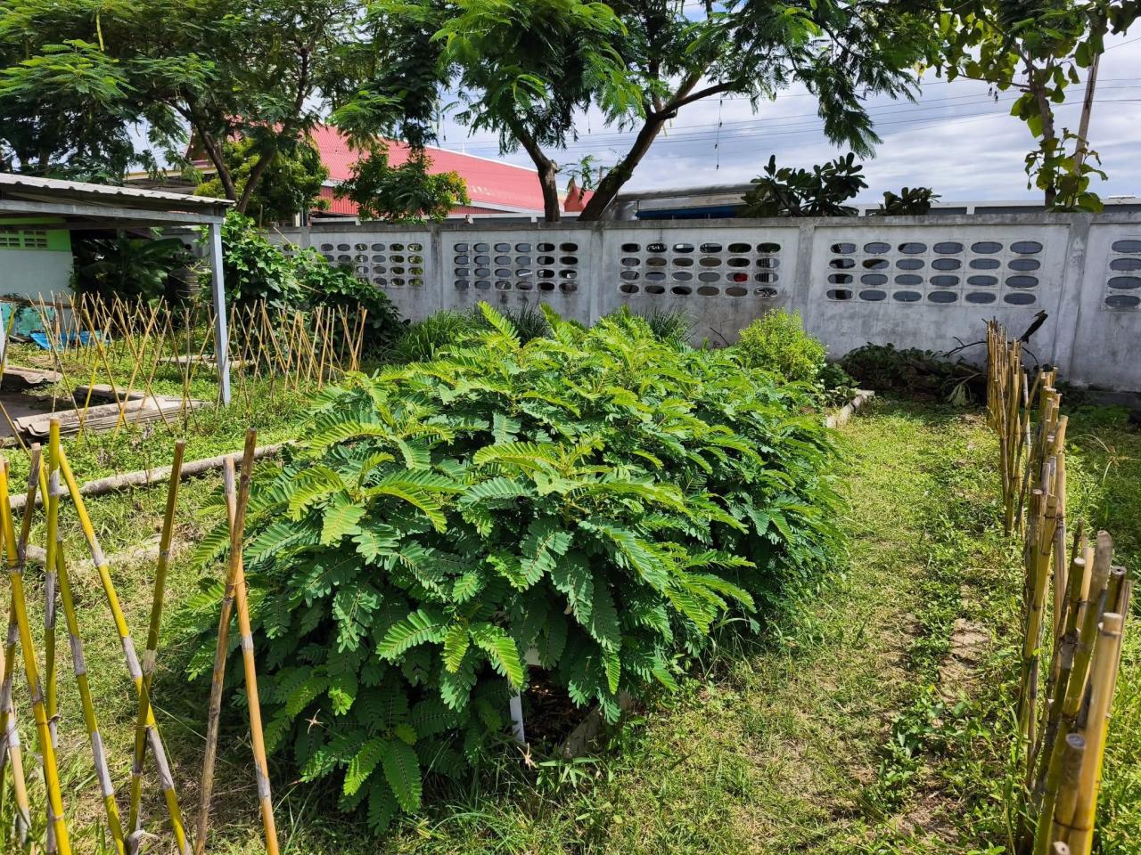 ภาพประกอบที่ 16