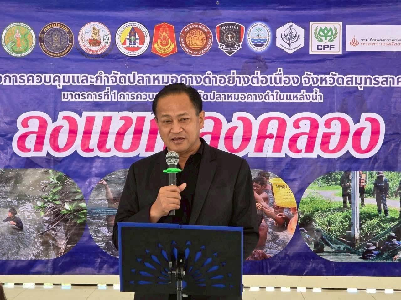 ภาพประกอบที่ 6