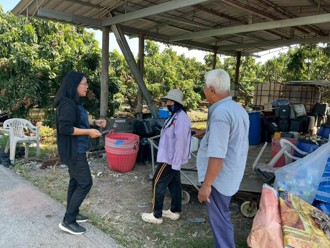 ภาพประกอบที่ 3