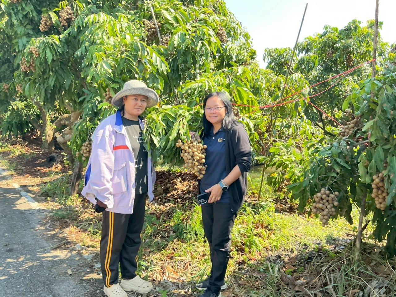 ภาพประกอบที่ 5