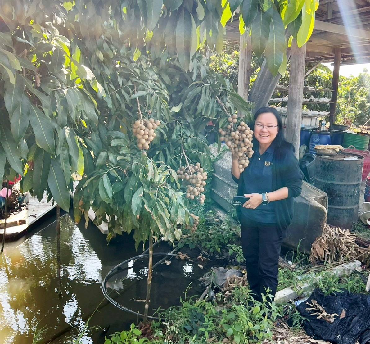 ภาพประกอบที่ 2