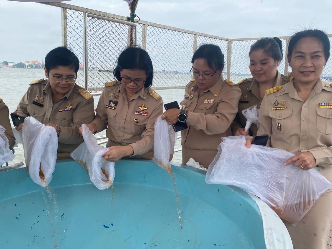 ภาพประกอบที่ 3