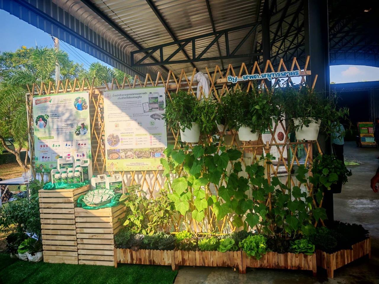 ภาพประกอบที่ 0