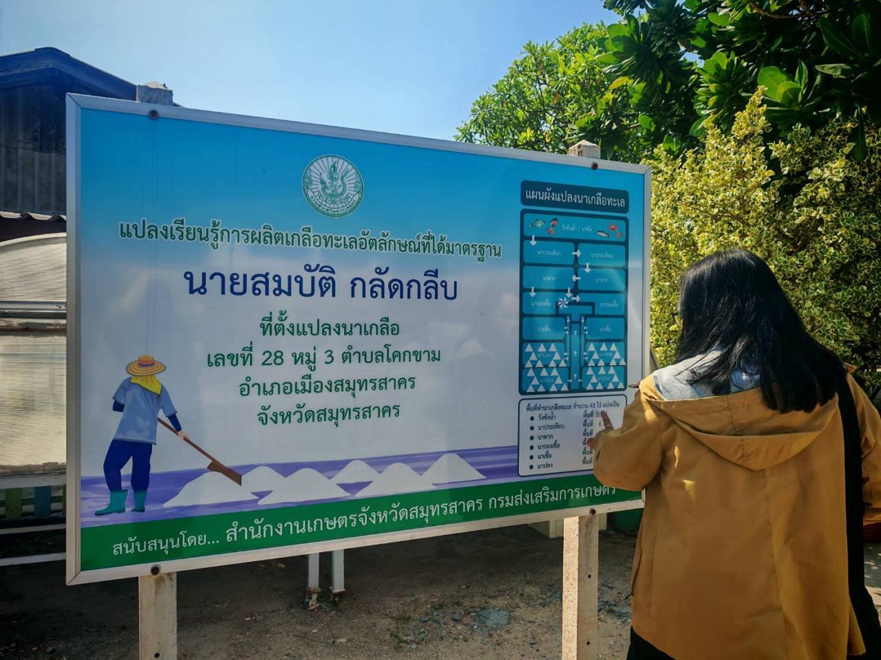 ภาพประกอบที่ 3