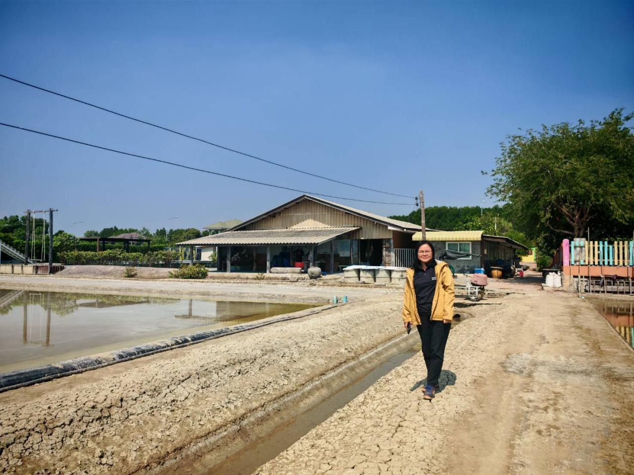 ภาพประกอบที่ 6