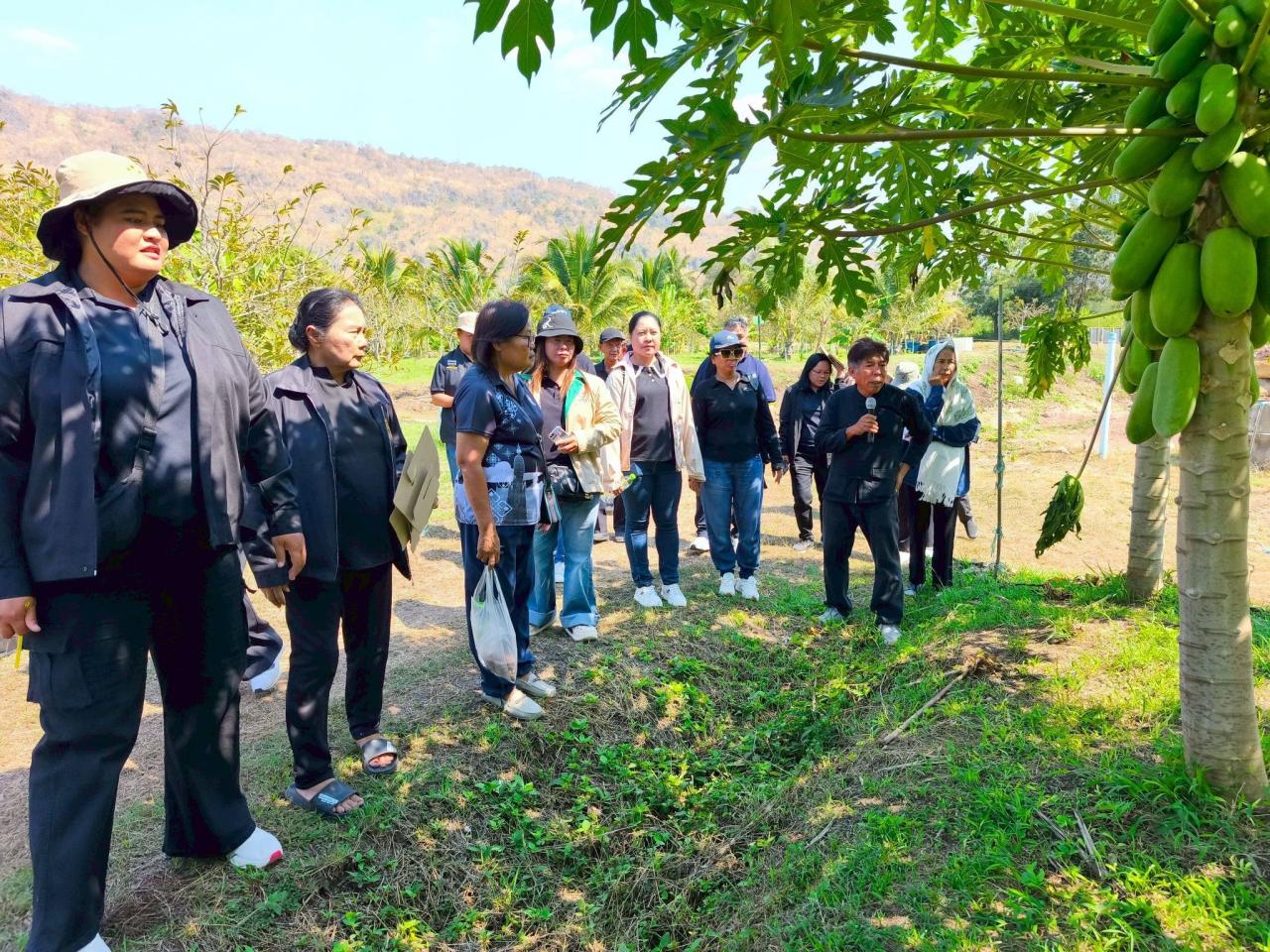 ภาพประกอบที่ 11