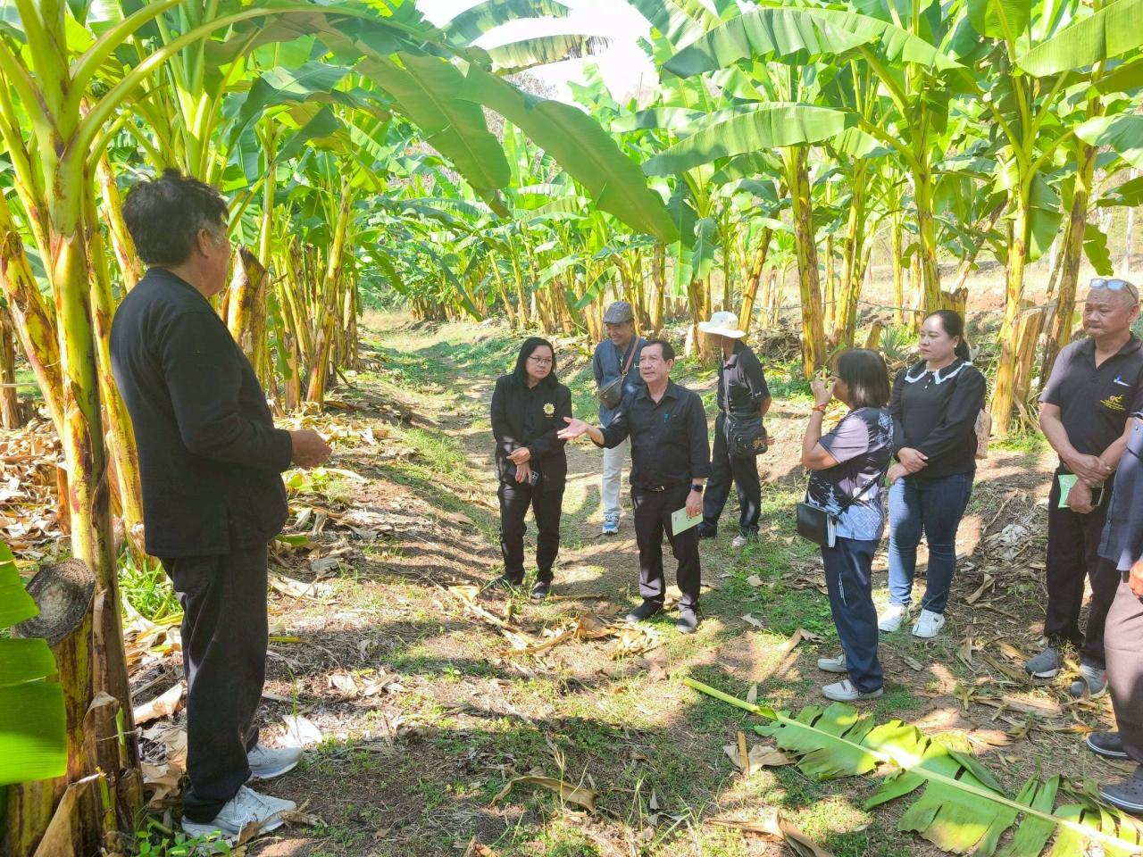 ภาพประกอบที่ 19