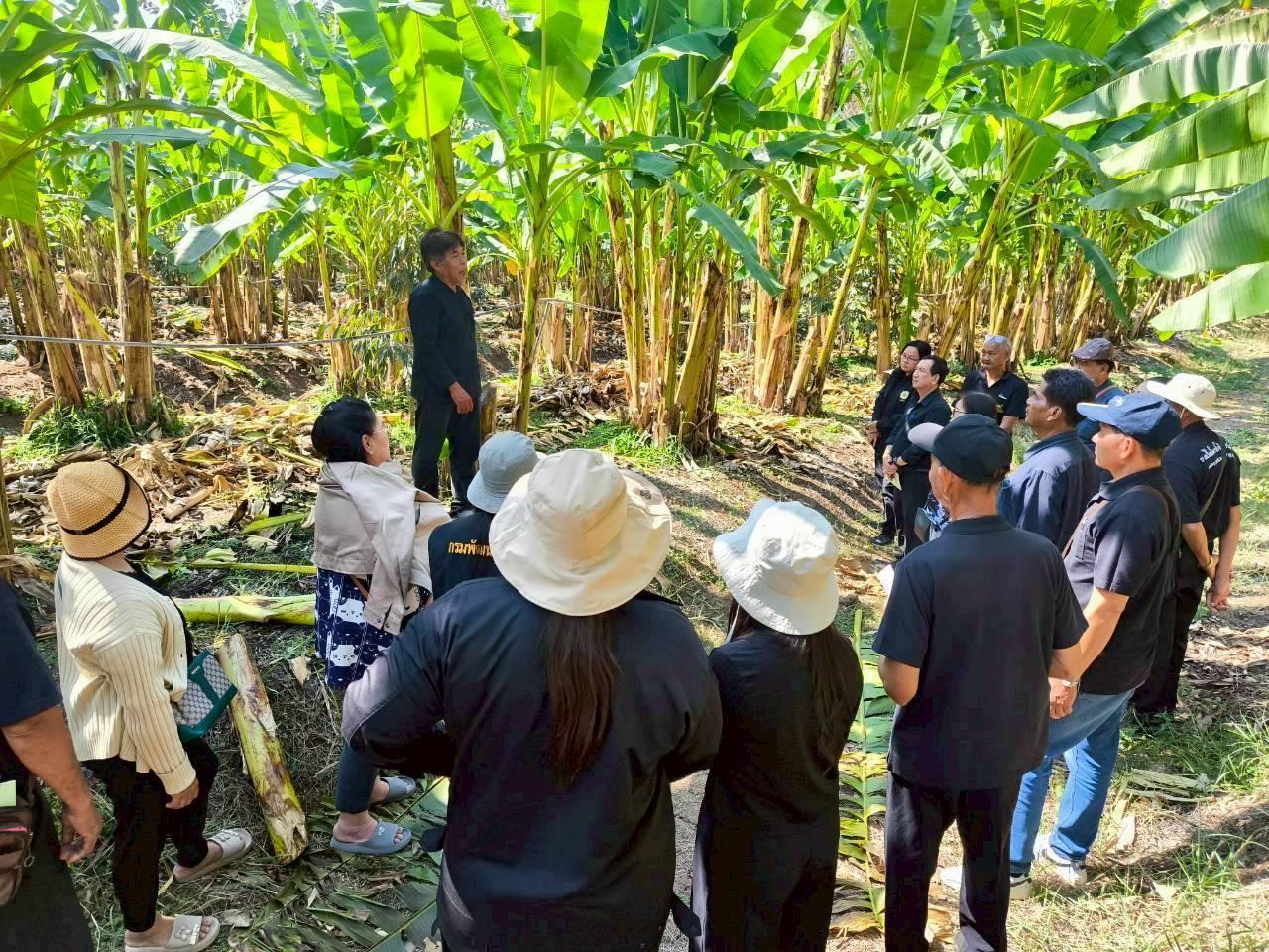 ภาพประกอบที่ 20