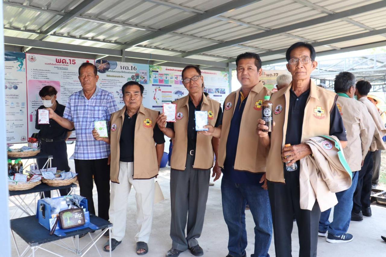 ภาพประกอบที่ 11