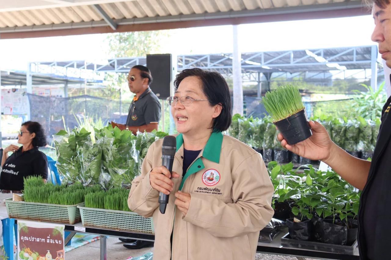 ภาพประกอบที่ 9