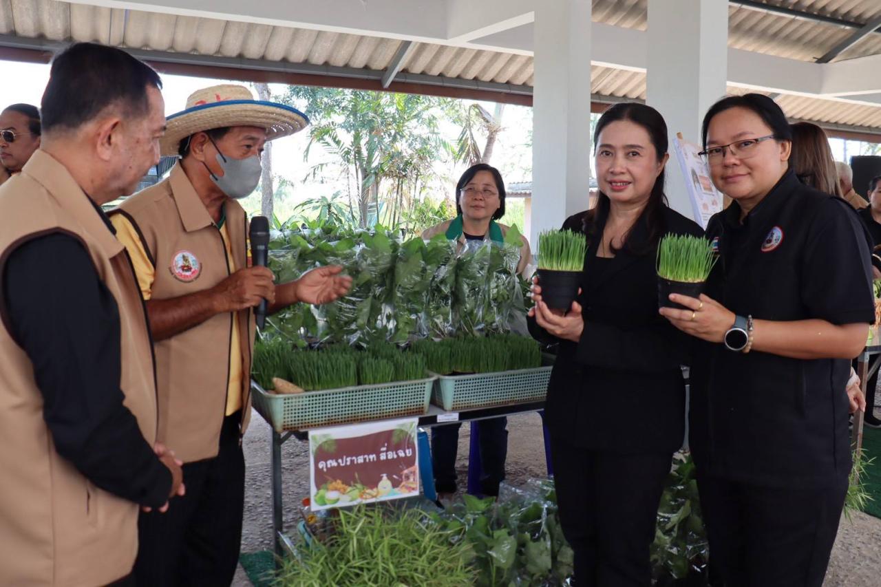 ภาพประกอบที่ 29