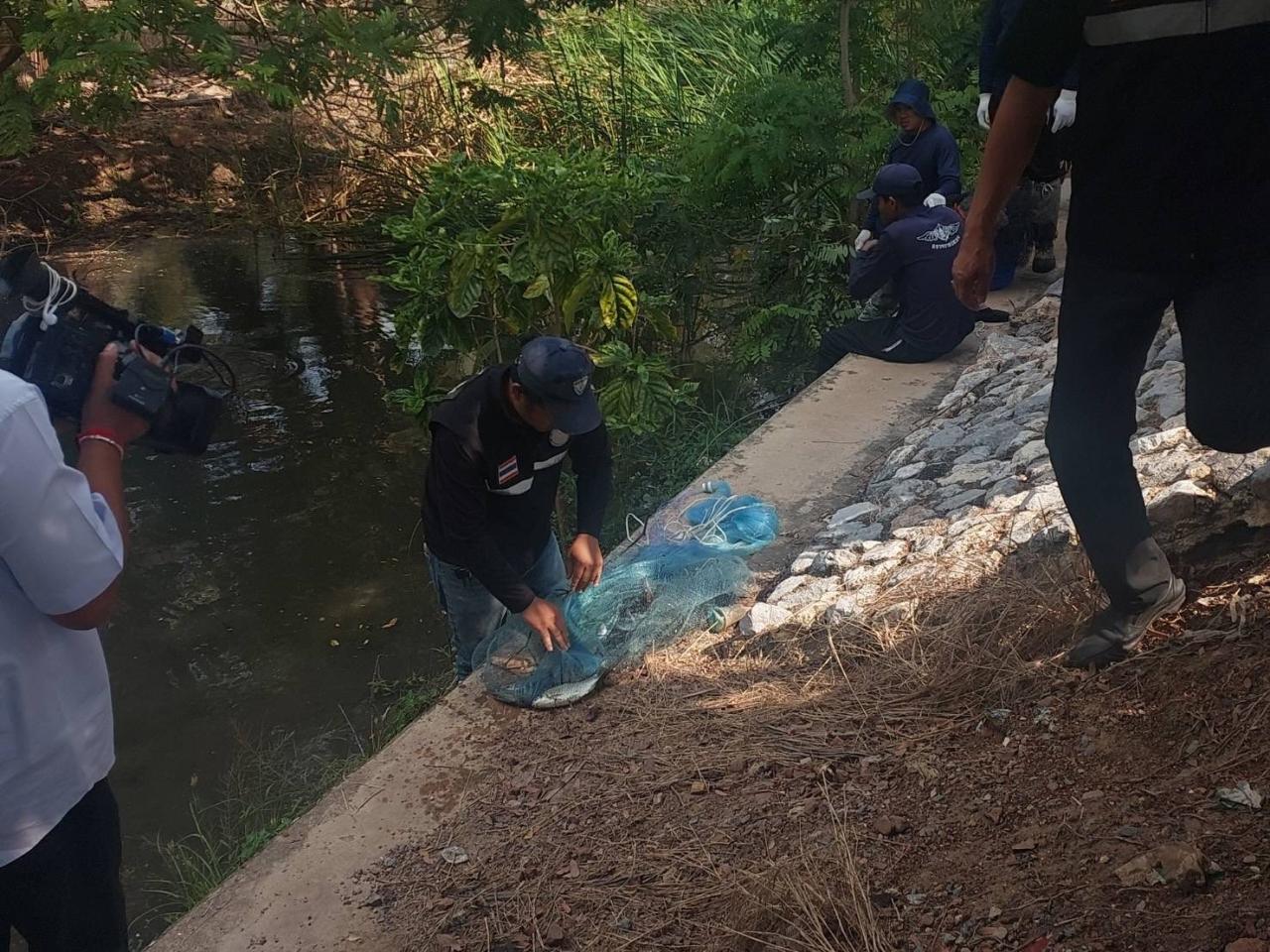 ภาพประกอบที่ 2