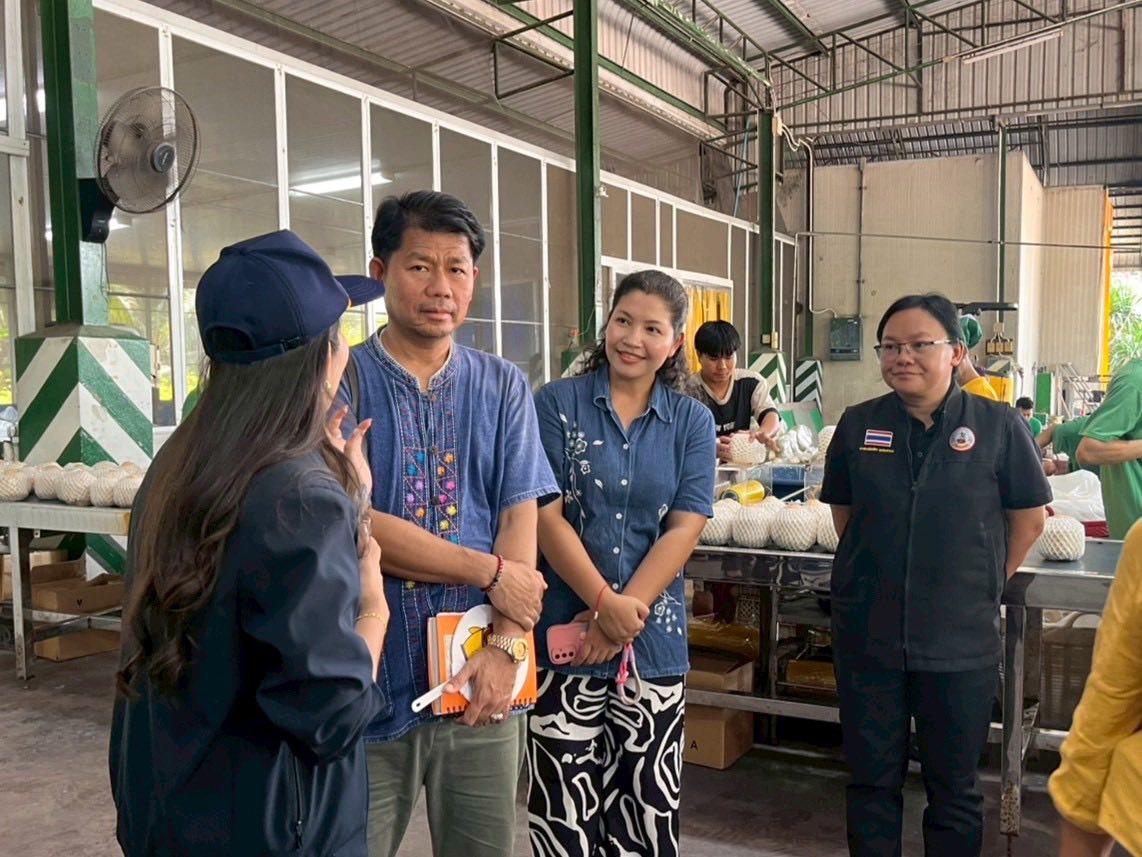 ภาพประกอบที่ 8