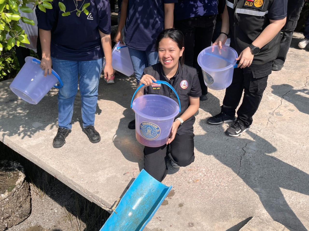 ภาพประกอบที่ 3