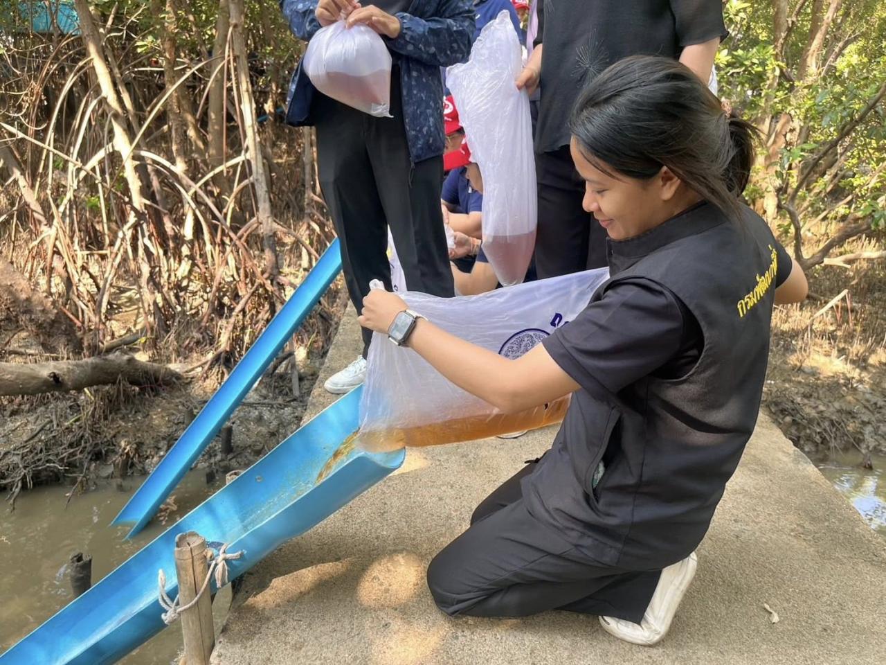 ภาพประกอบที่ 4