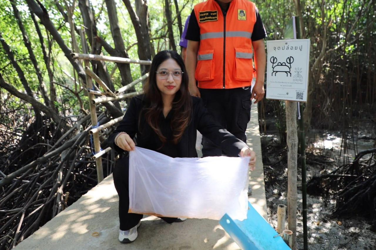 ภาพประกอบที่ 5